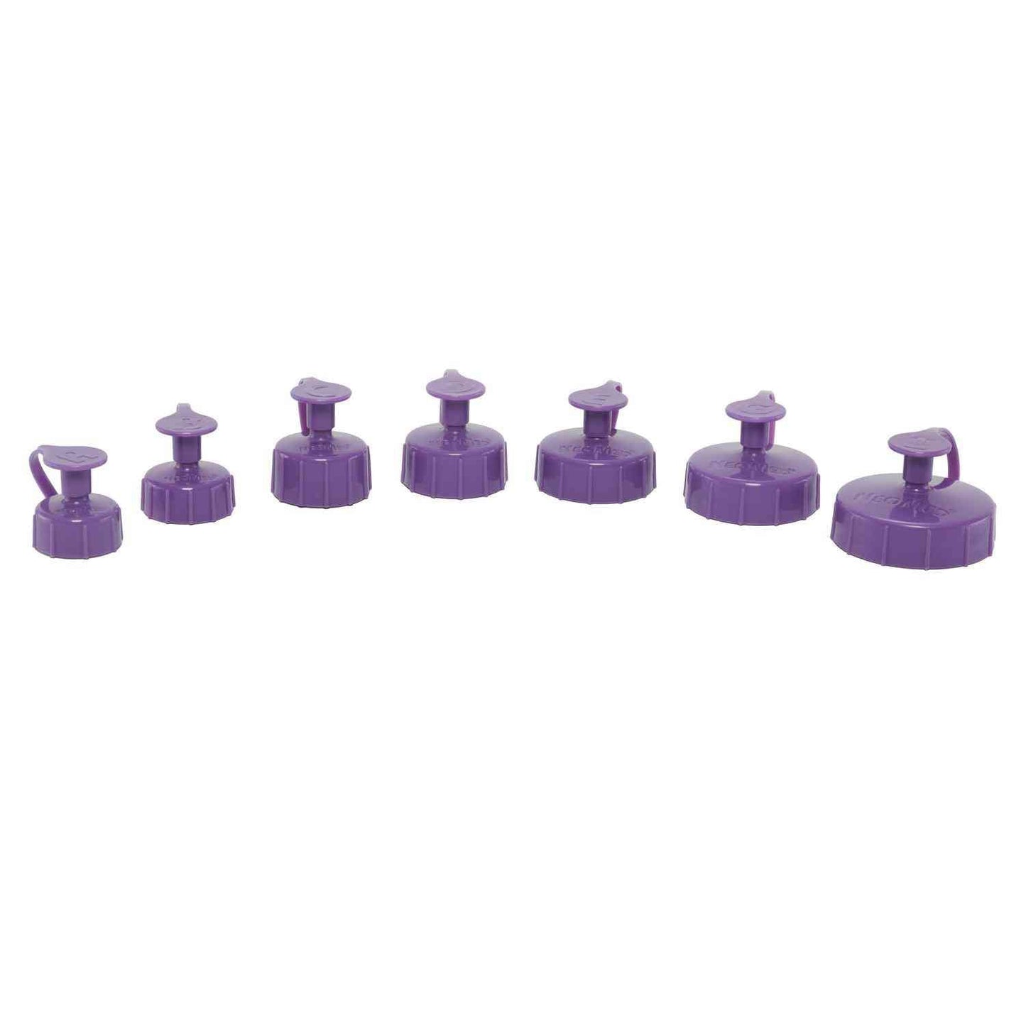 ENFit Pharm Cap, NonSterile, Purple - Box of 25