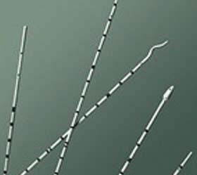 BX/10 POLYURETHANE URETERAL CATHETER, CONE TIP, 5FR, 70CM