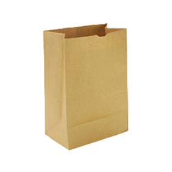 CS/500 KRAFT PAPER BAG 8LB